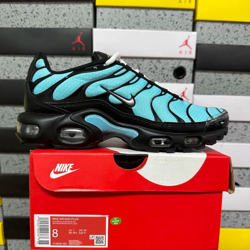 Nike Air Max Plus Aqua Metallic Silver Black