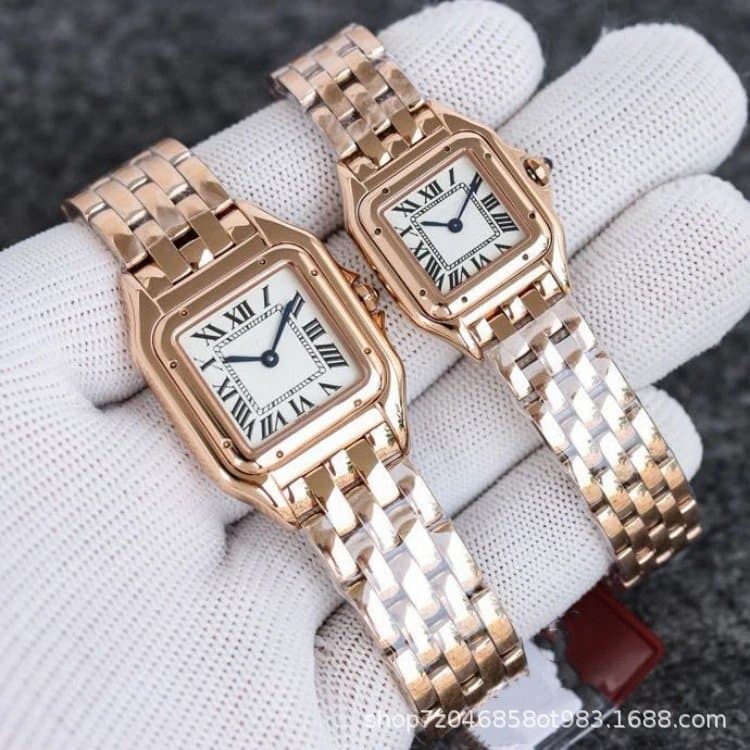 Santos de Cartier Small & Large