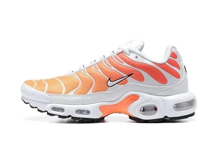 Nike Air Max Plus Wolf Grey — 1
