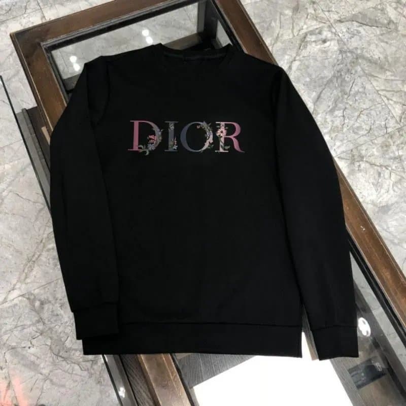 Dior Hoodie CD Logo — 17