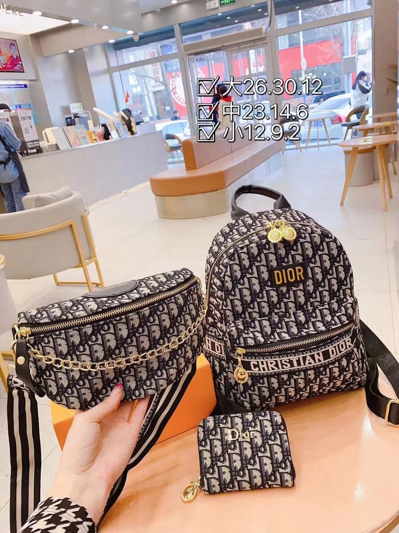Dior B22 Backpack & Belt Bag Set Oblique Monogram