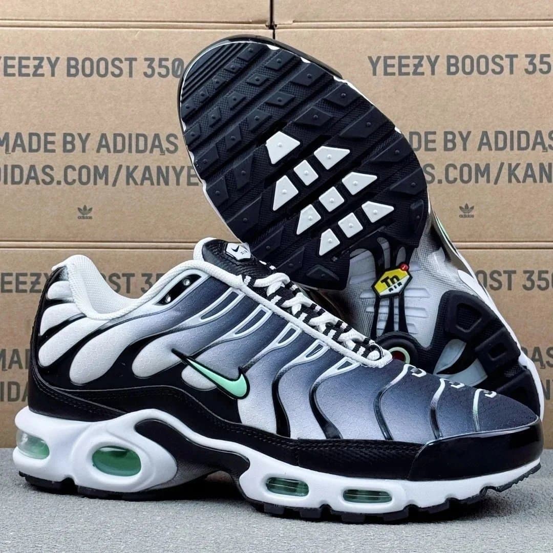 Yeezy Boost 350 V2 Zebra — AIR MAX PIUS TN 水墨 718071-231 · TX