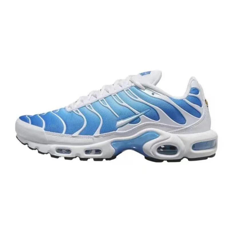 Nike Air Max Plus Turbo Blue — TN1-2
