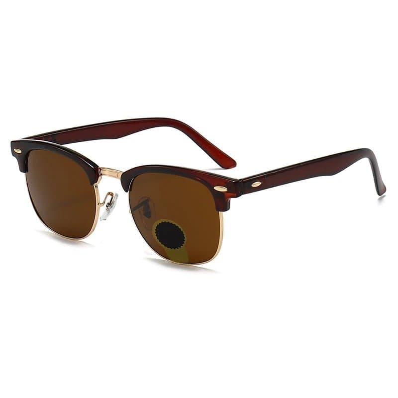 Ray-Ban Clubmaster Havana Brown
