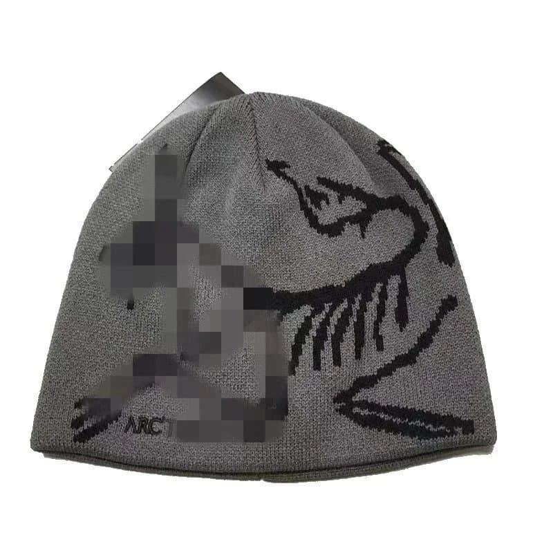 Arc'teryx Beanie Bird Logo