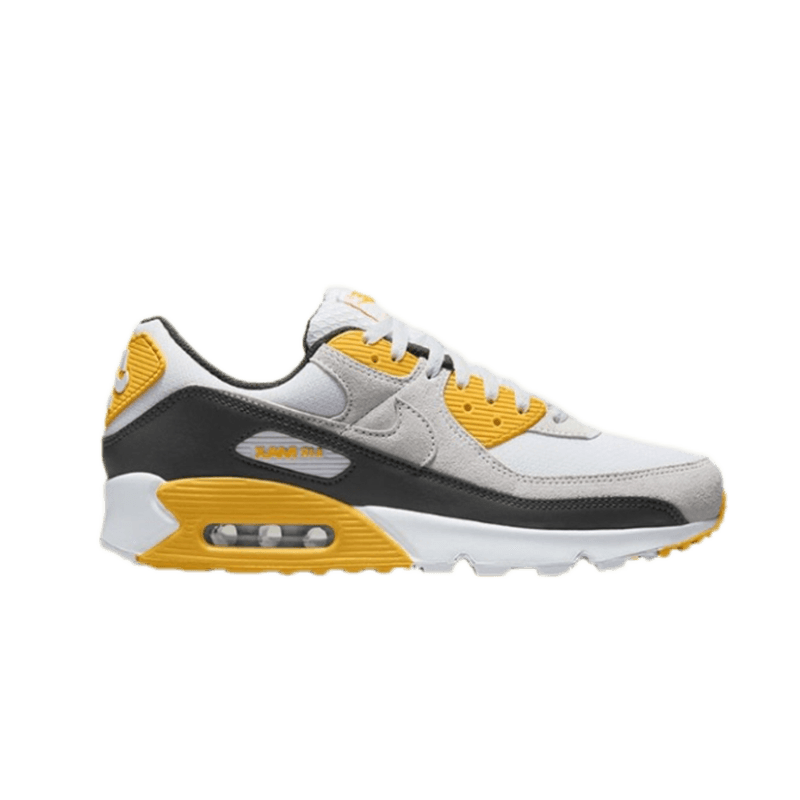Nike Air Max 90 Desert Sand — 11