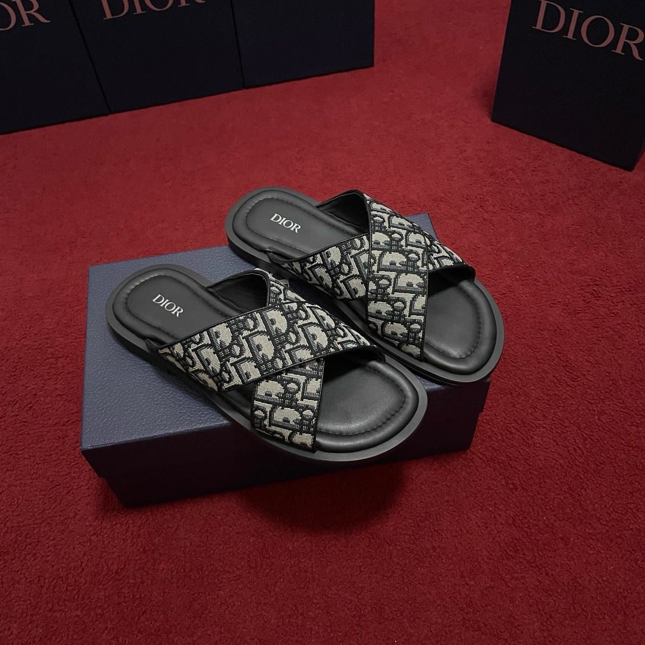 Dior B22 Slide Oblique Print