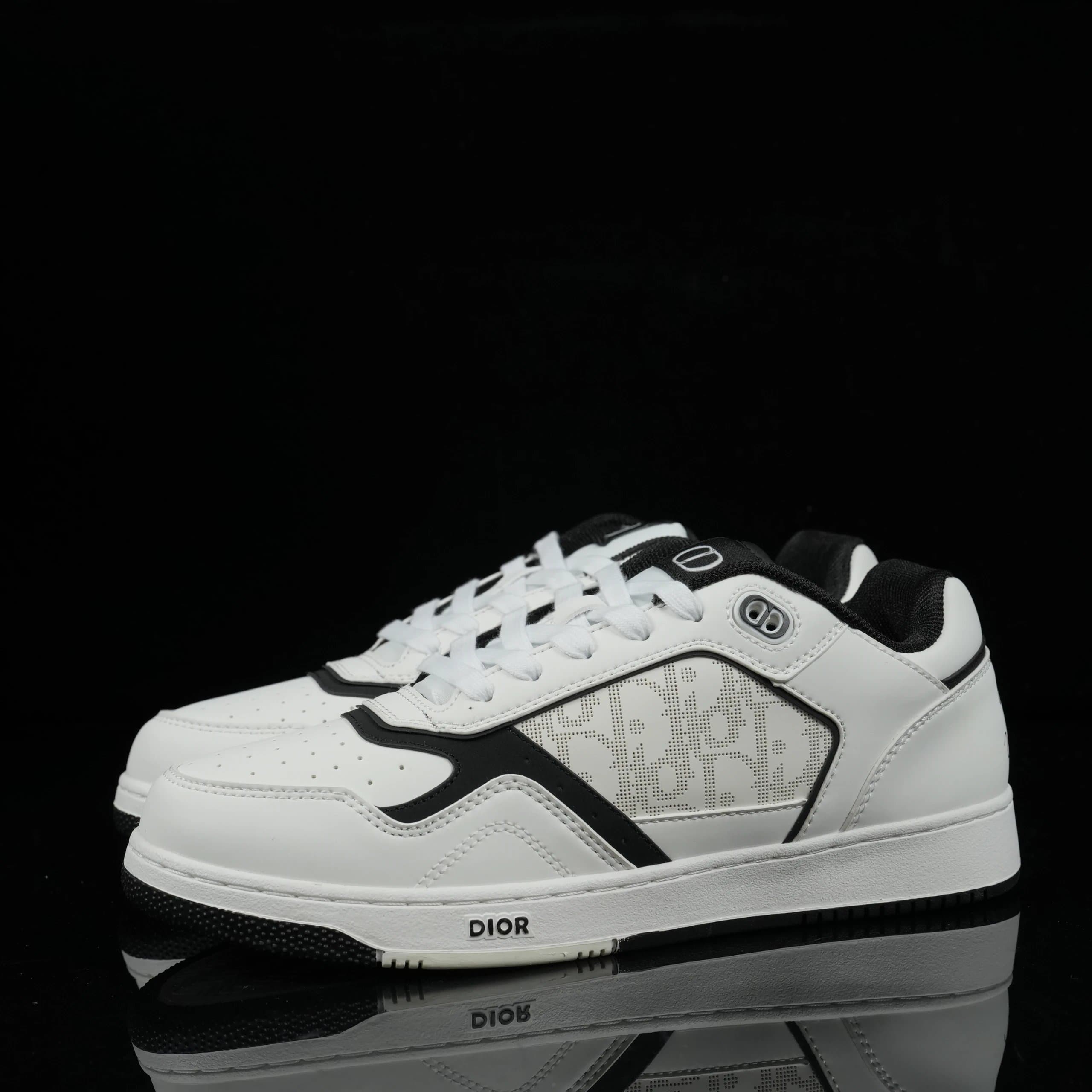 Dior B22 Low Oblique Print
