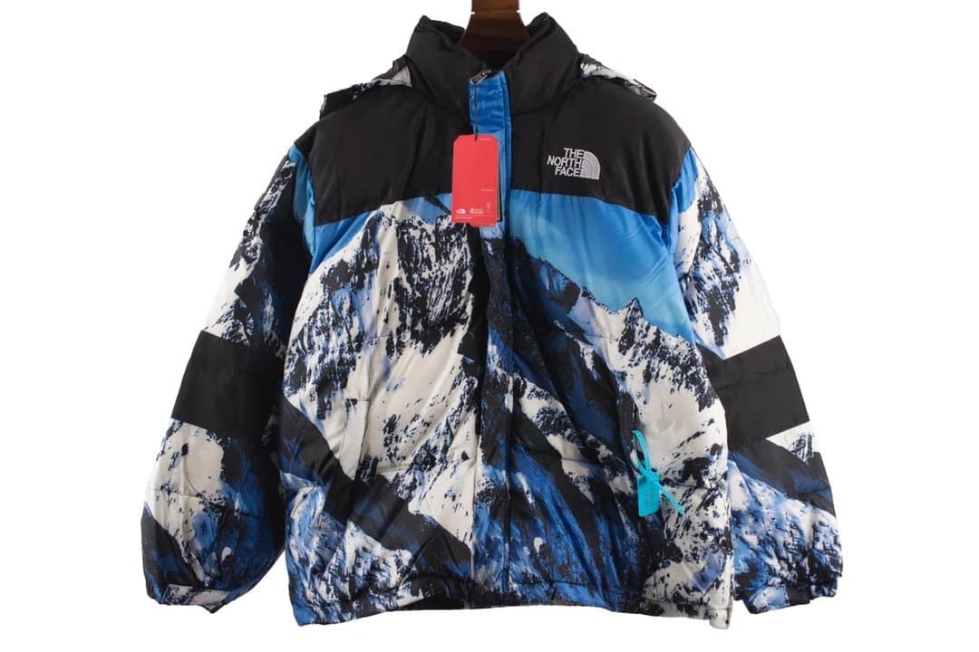 The North Face Mountain Light Jacket Alpine Print
