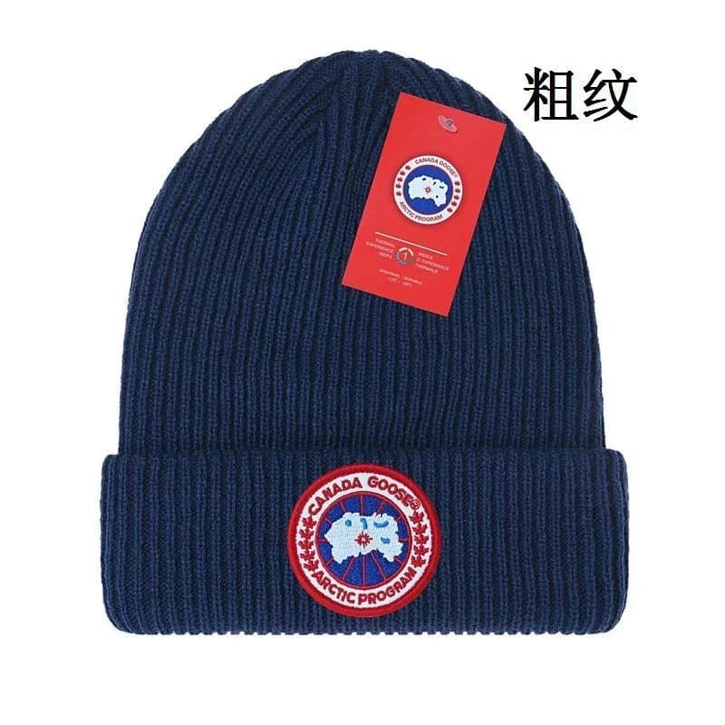 Canada Goose Arctic Program Beanie Ribbed Knit — 均码 · 9