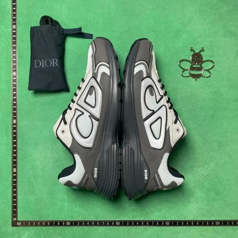 Dior B22 Sneaker Grey White
