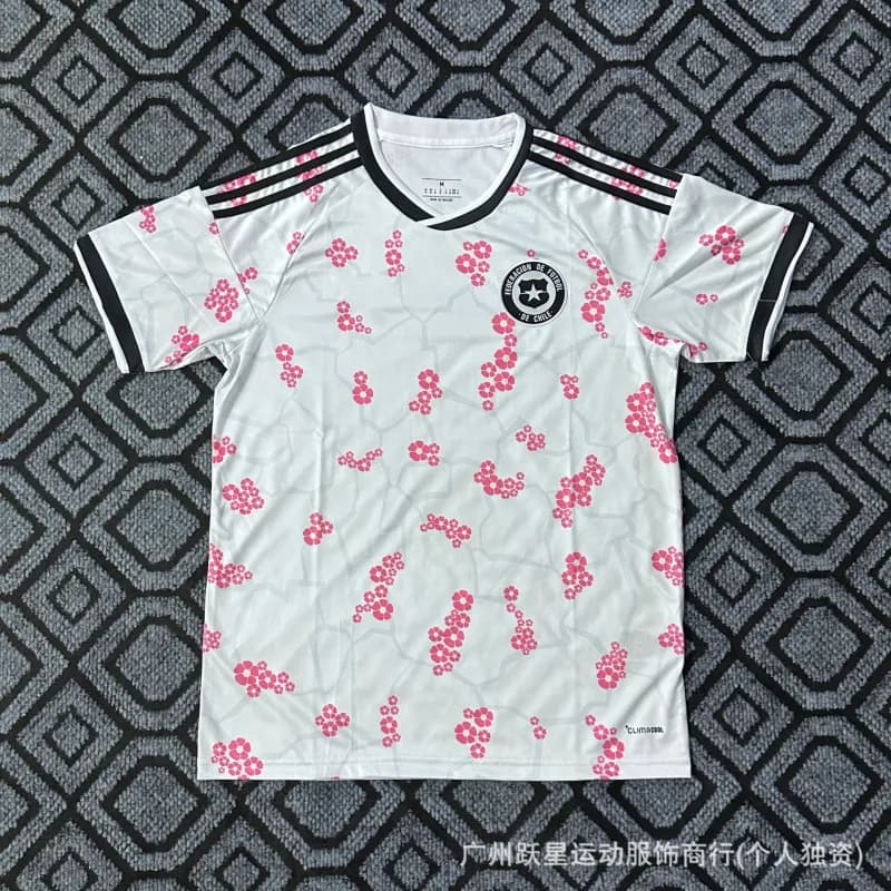 Wales National Team Jersey Home Kit — 2026智利客场