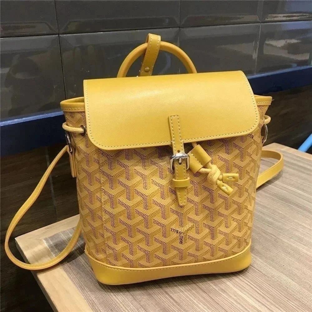 Goyard Saint Louis Monogram Canvas — 19