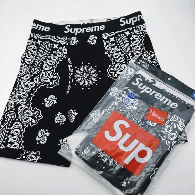 Supreme Boxer Briefs Bandana Print