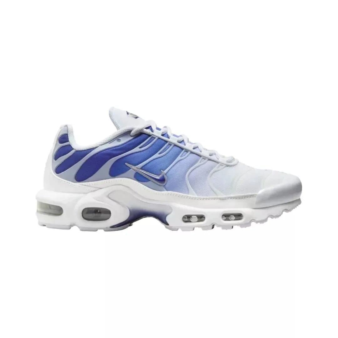 Nike Air Max Plus Flame — Blue Fade