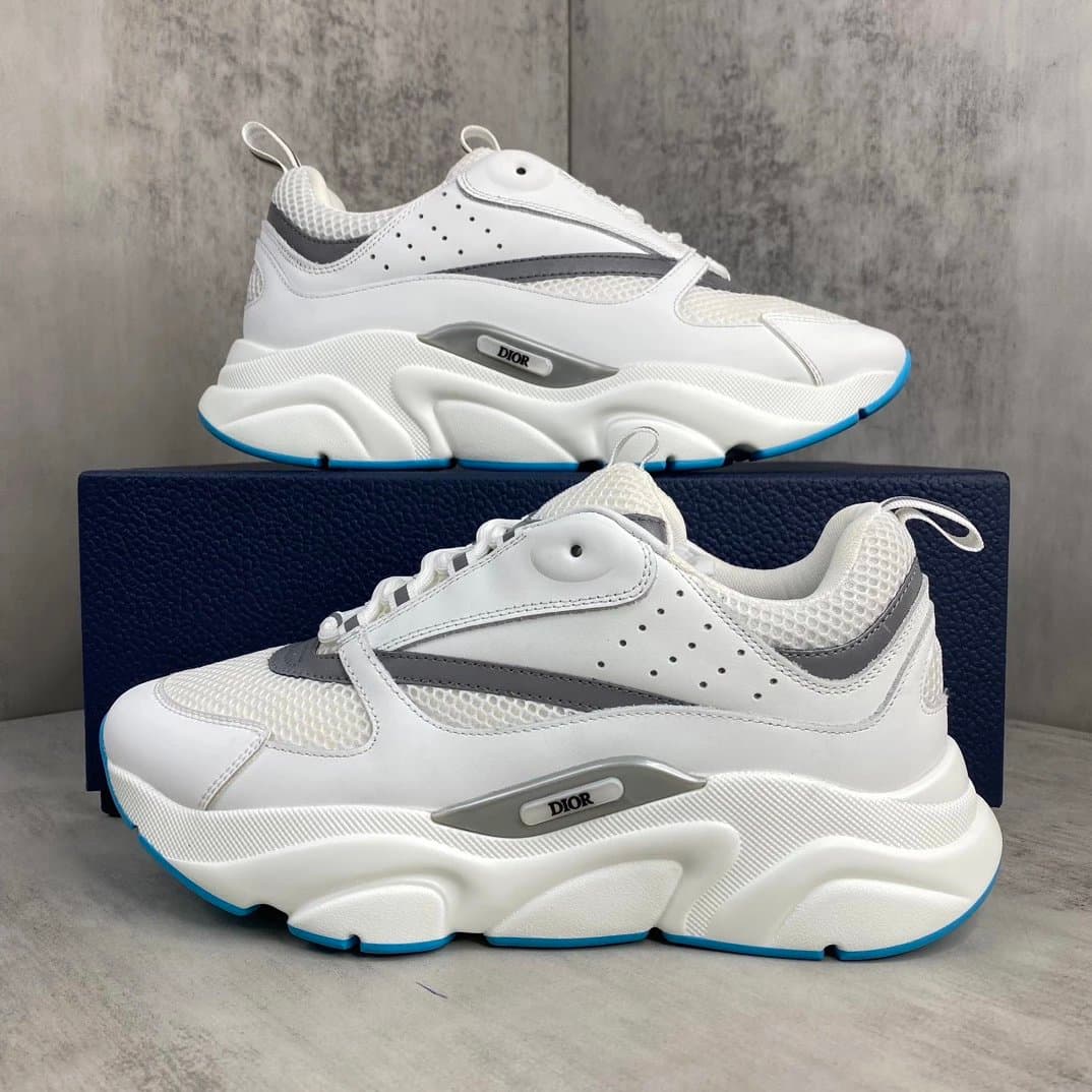 Dior B22 White Grey Blue