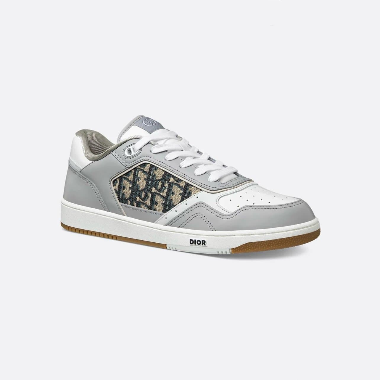 Dior B22 Low Oblique Print