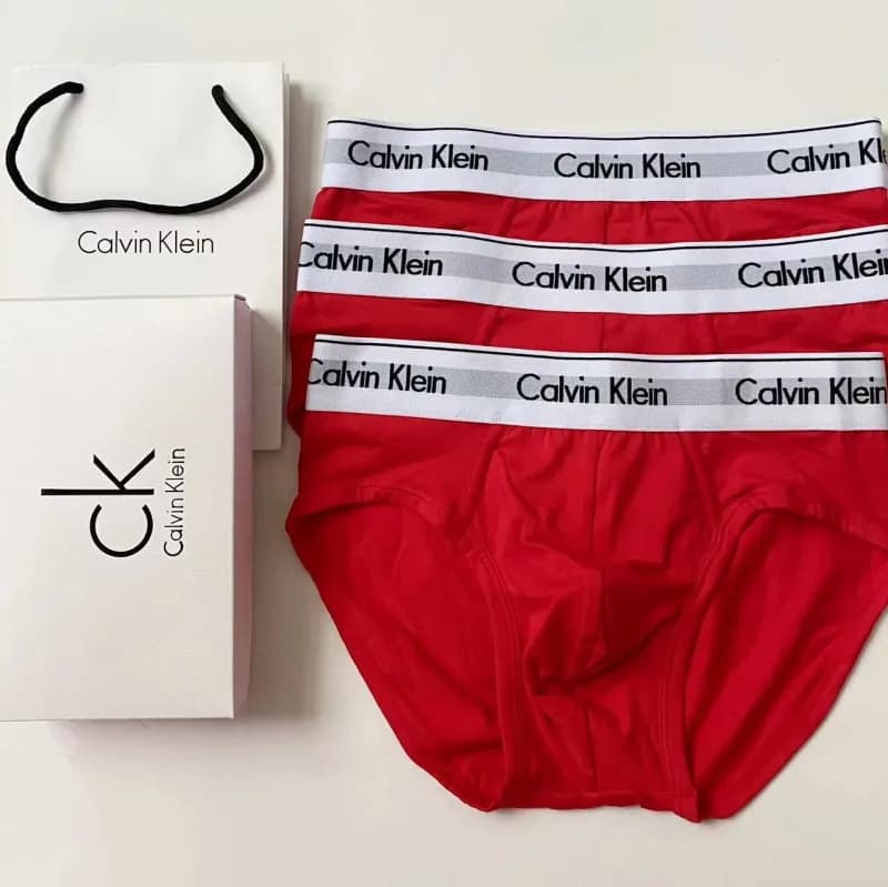 Calvin Klein Micro Brief Logo Waistband