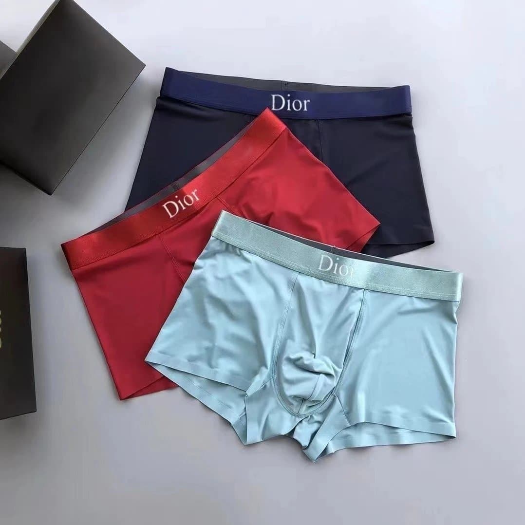 Dior Boxer Briefs Logo Waistband