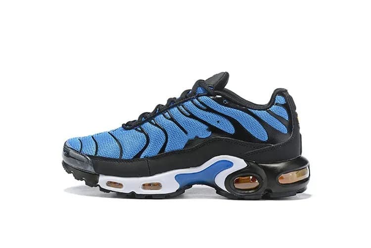 Nike Air Max Plus Obsidian — 18