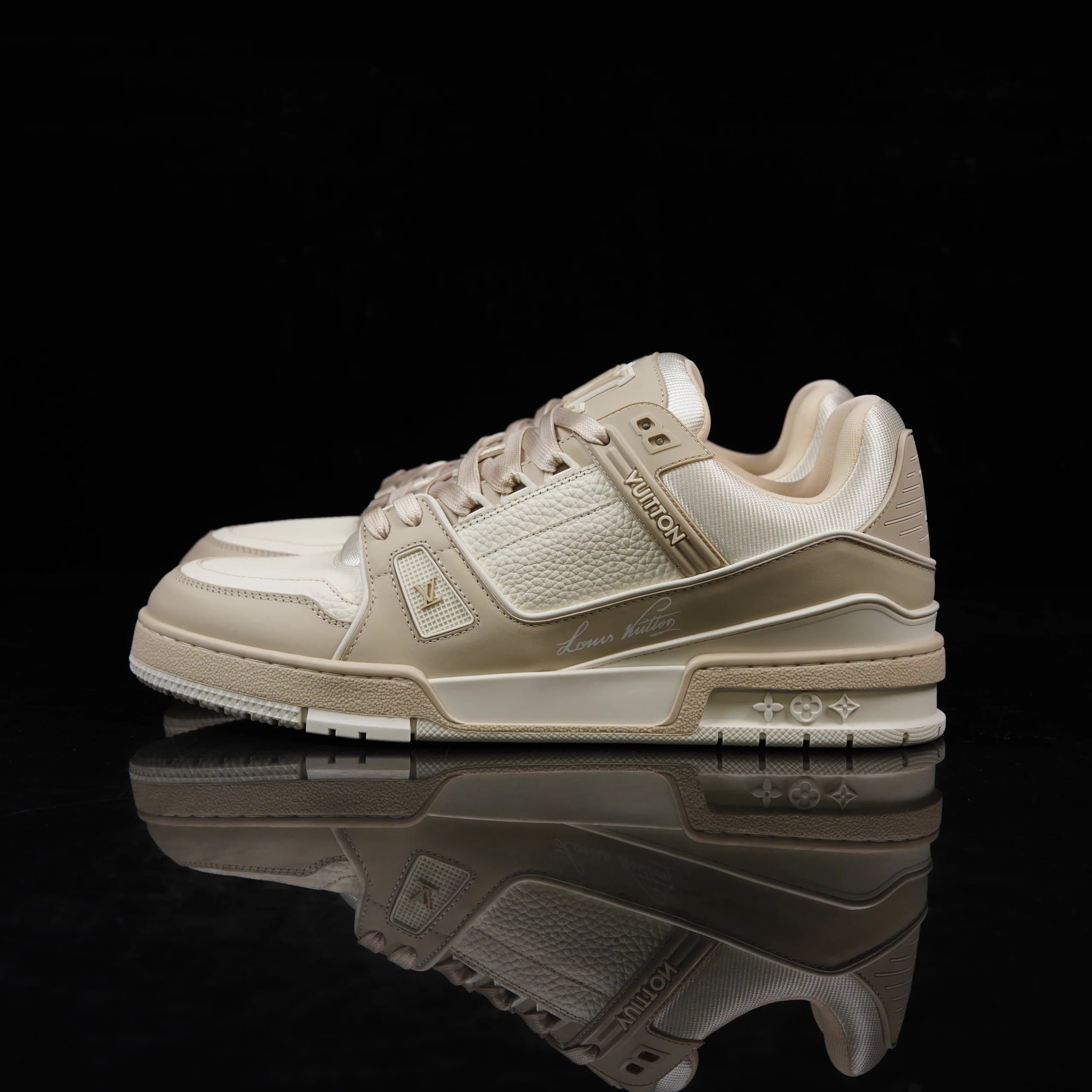 Louis Vuitton LV Trainer Monogram Leather