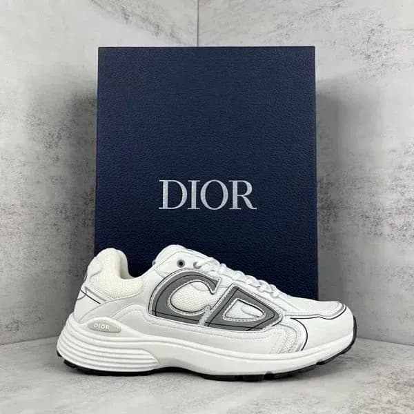 Dior B22 Sneaker White Grey