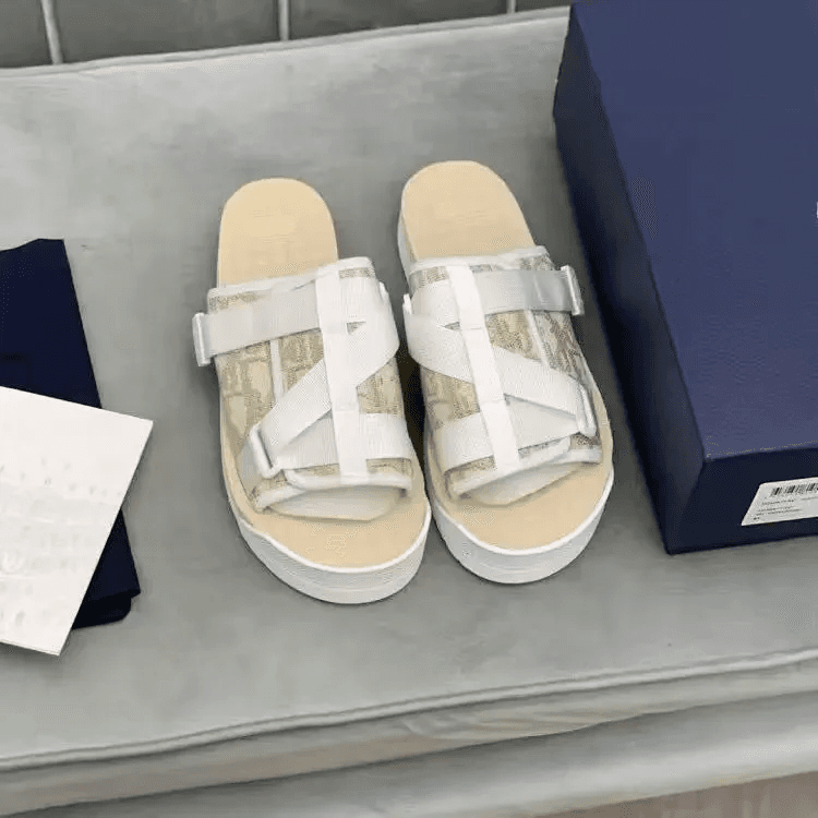 Dior B22 Slide Oblique Print