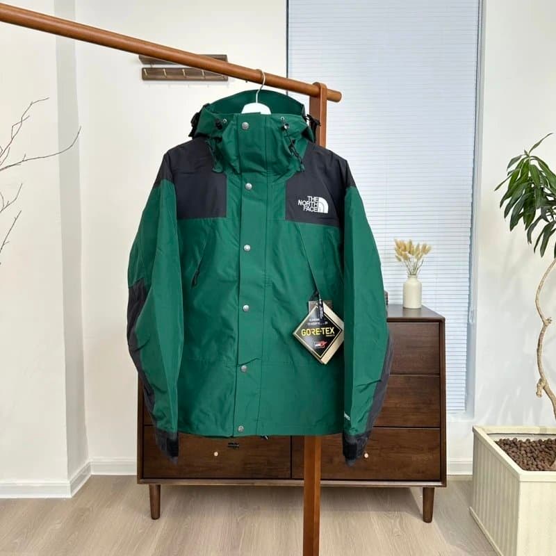 The North Face Mountain Light Jacket Gore-Tex