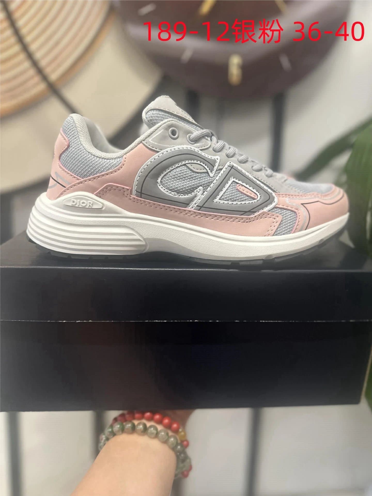 Dior B22 Sneaker Silver Pink