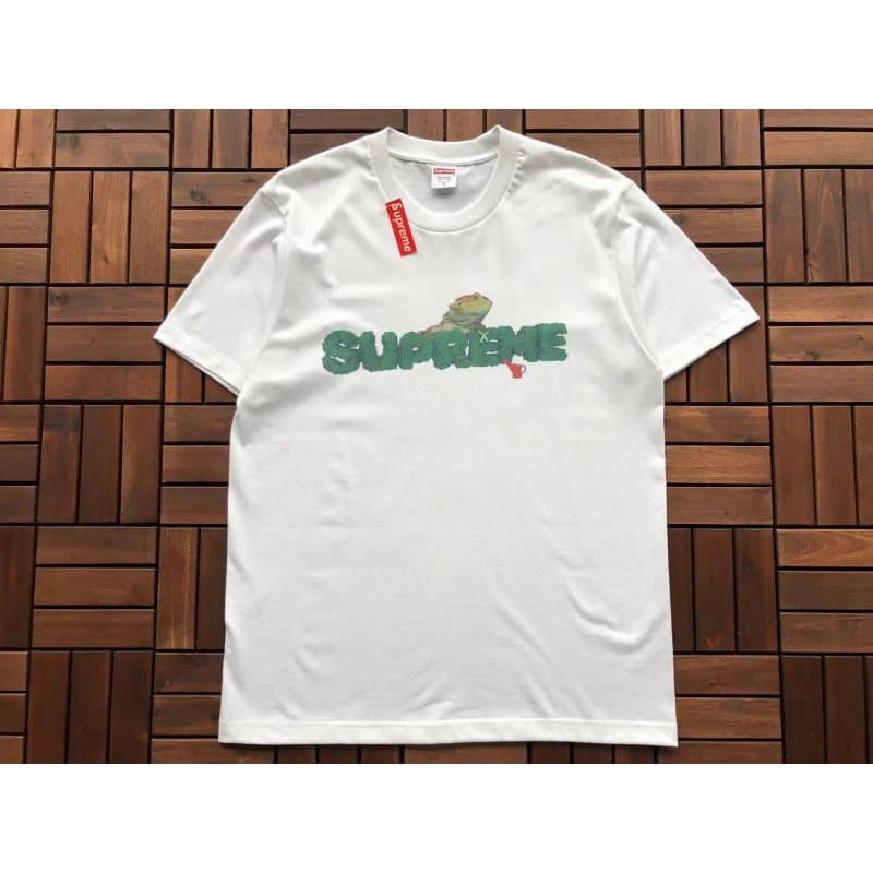 Supreme Box Logo Tee Paisley Box Logo — B284 蜥蜴环保绿色植物白色