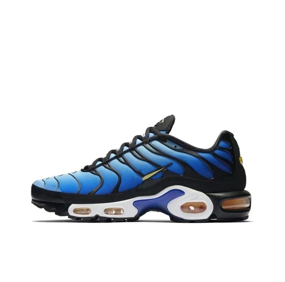 Nike Air Max Plus Yeezy — TN-6