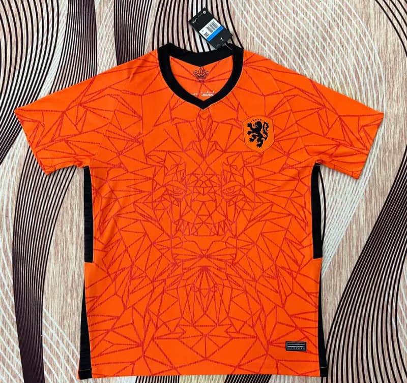 Nike Netherlands Home Jersey Geometric Lion Print