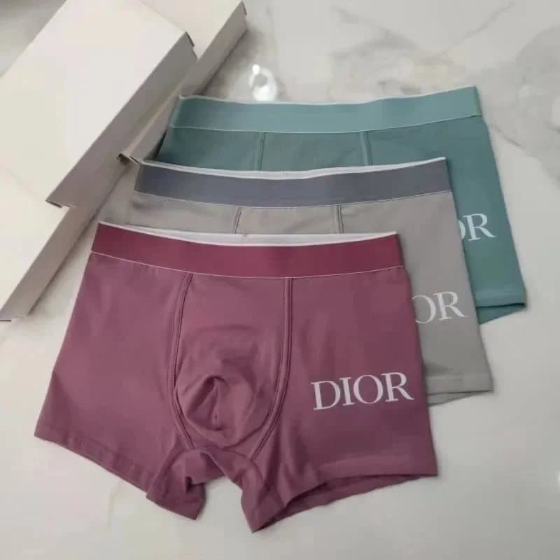 Dior Boxer Briefs Logo Print