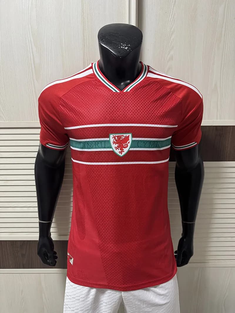 Adidas Argentina 2022 World Cup Away Jersey Baroque Print — 2627红威尔士主场