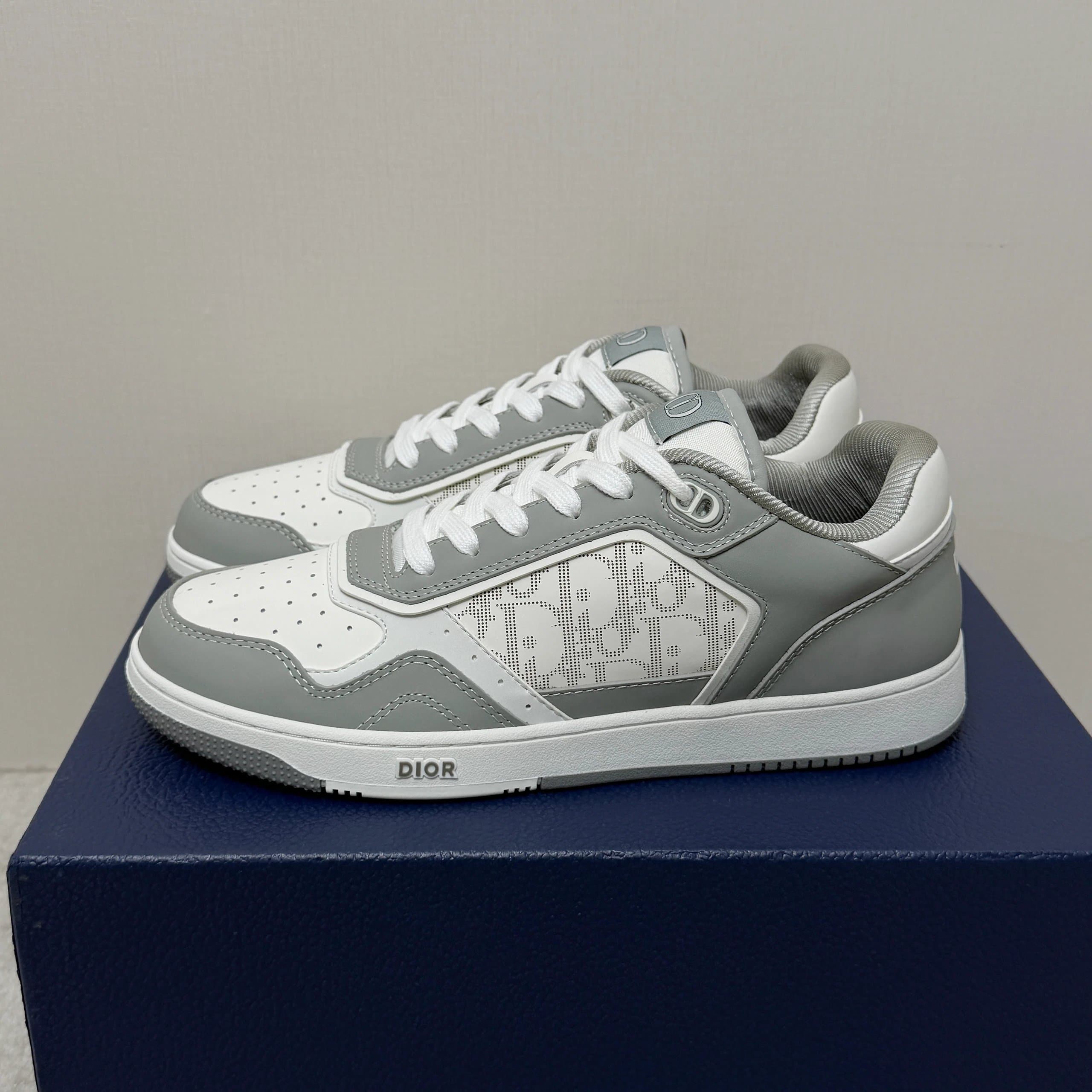 Dior B22 Sneaker Perforated Oblique Logo