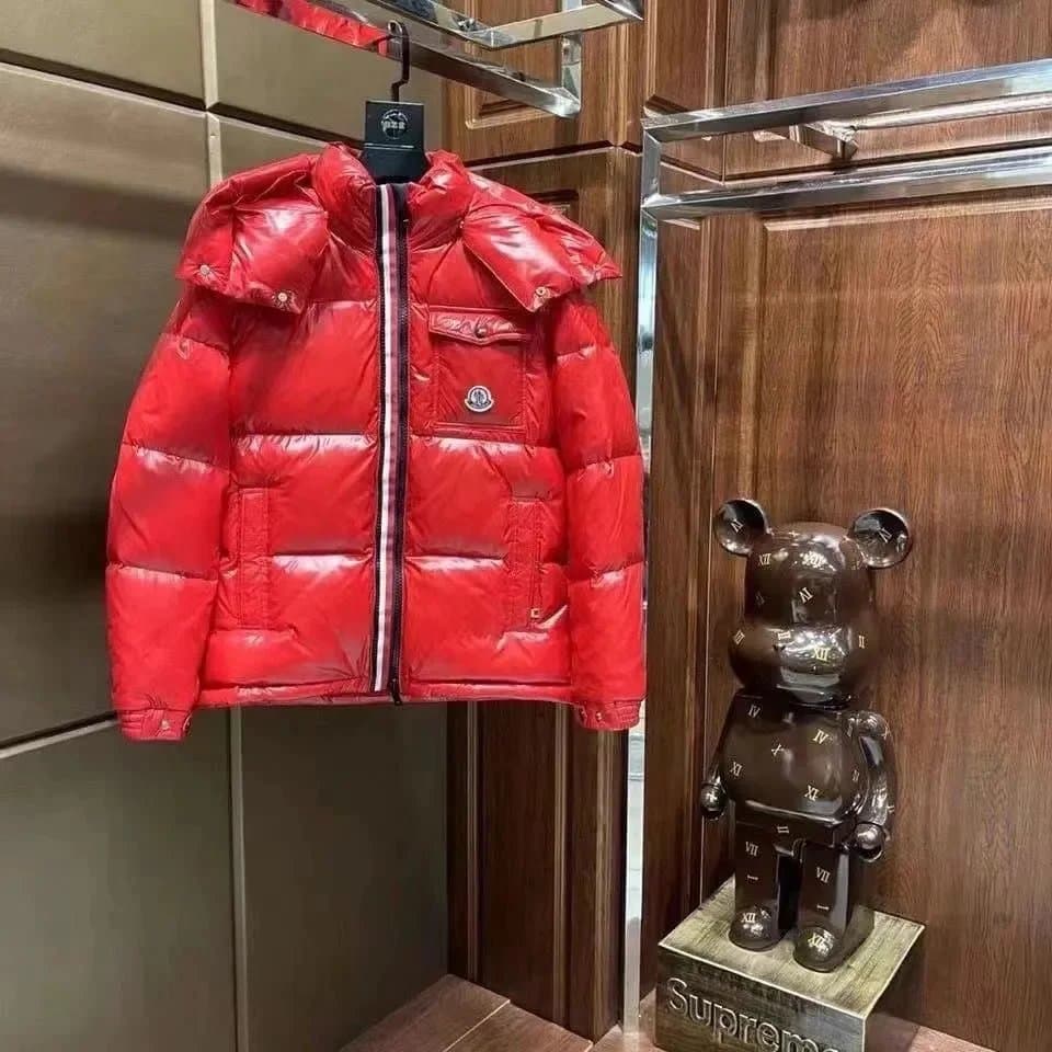 Moncler Puffer Jacket Logo Hood — 09