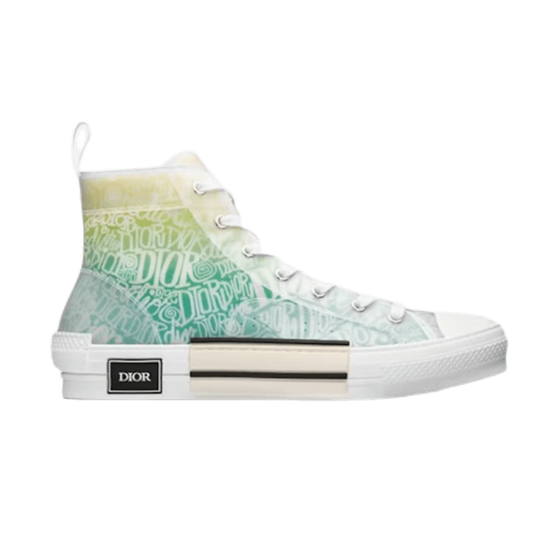 Dior B22 Low Oblique Print — 2
