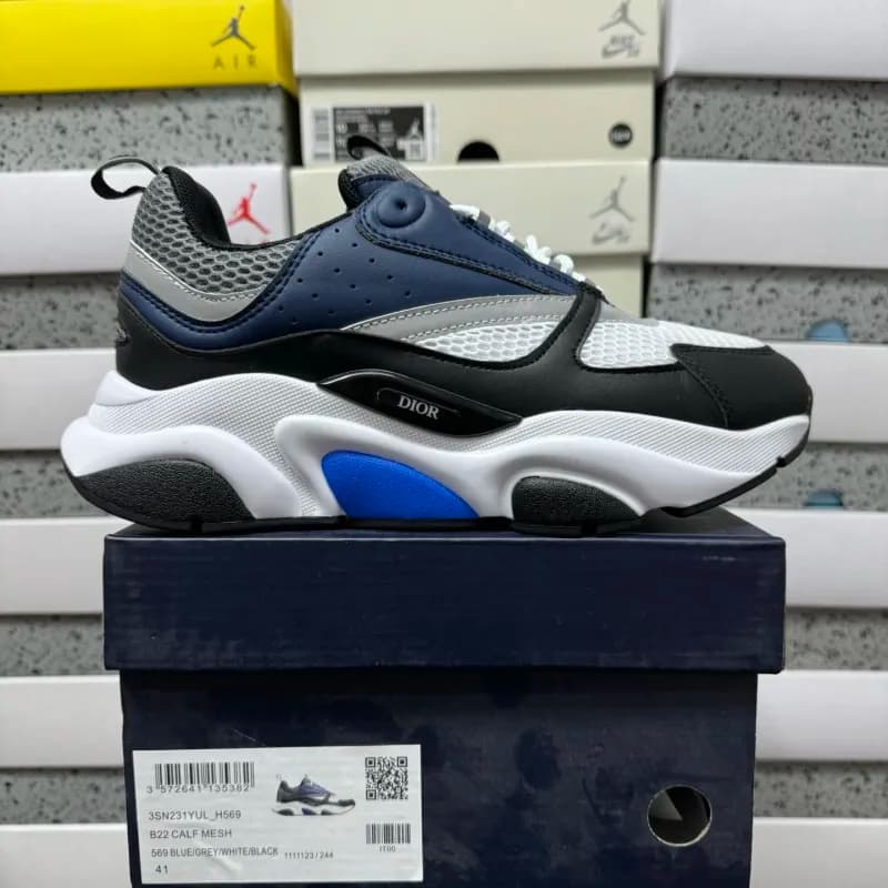 Dior B22 Calf Mesh Blue/Grey/White/Black