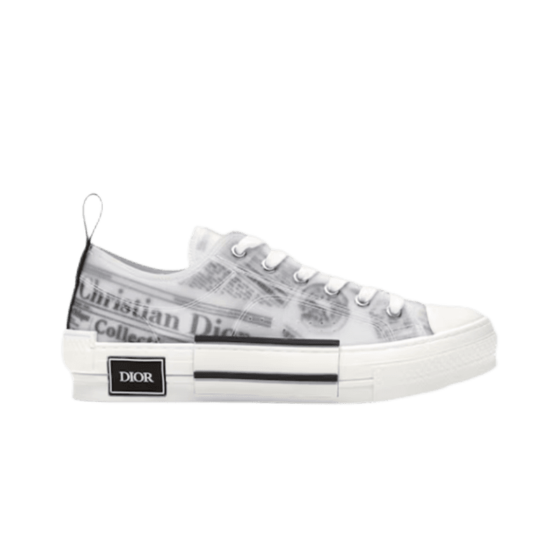 Dior B22 Low Oblique Print — 11