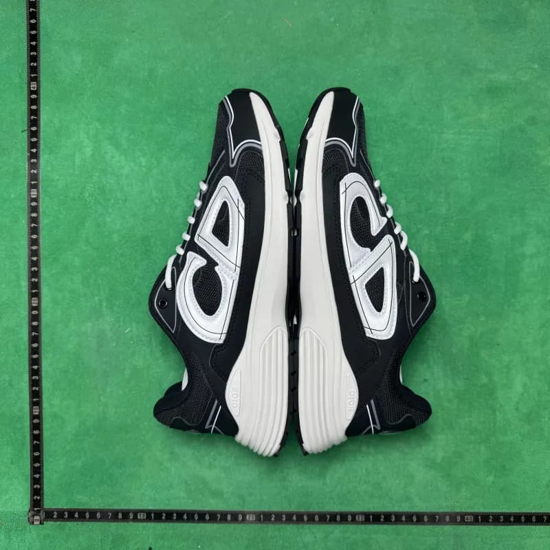 Dior B22 Sneaker CD Logo