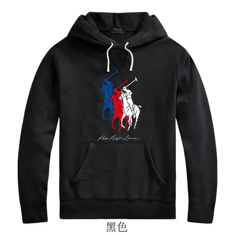 Polo Ralph Lauren Hoodie Big Pony Tri-Color