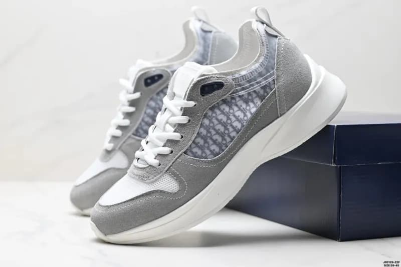 Dior B23 Low Oblique Print