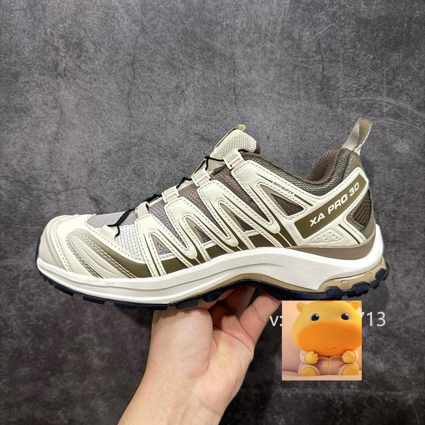 Salomon XA PRO 3D Beige Brown