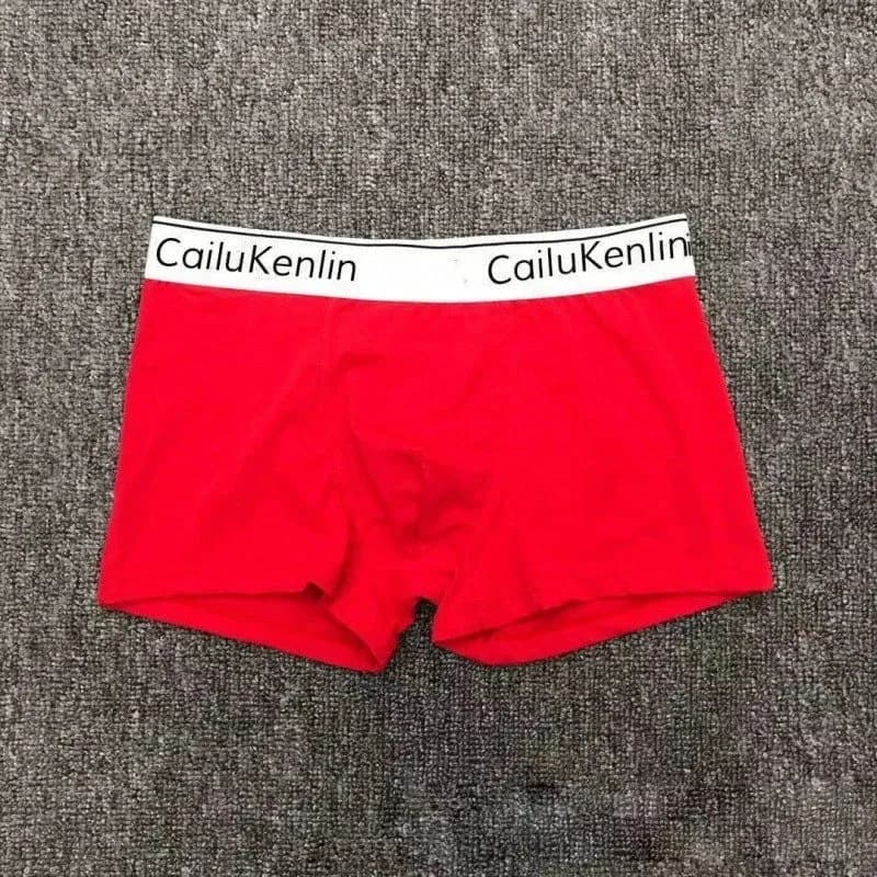 Boxer Brief Logo Waistband