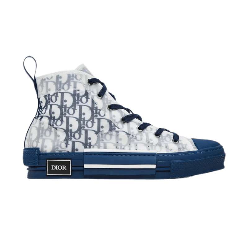 Dior B22 High Oblique Print