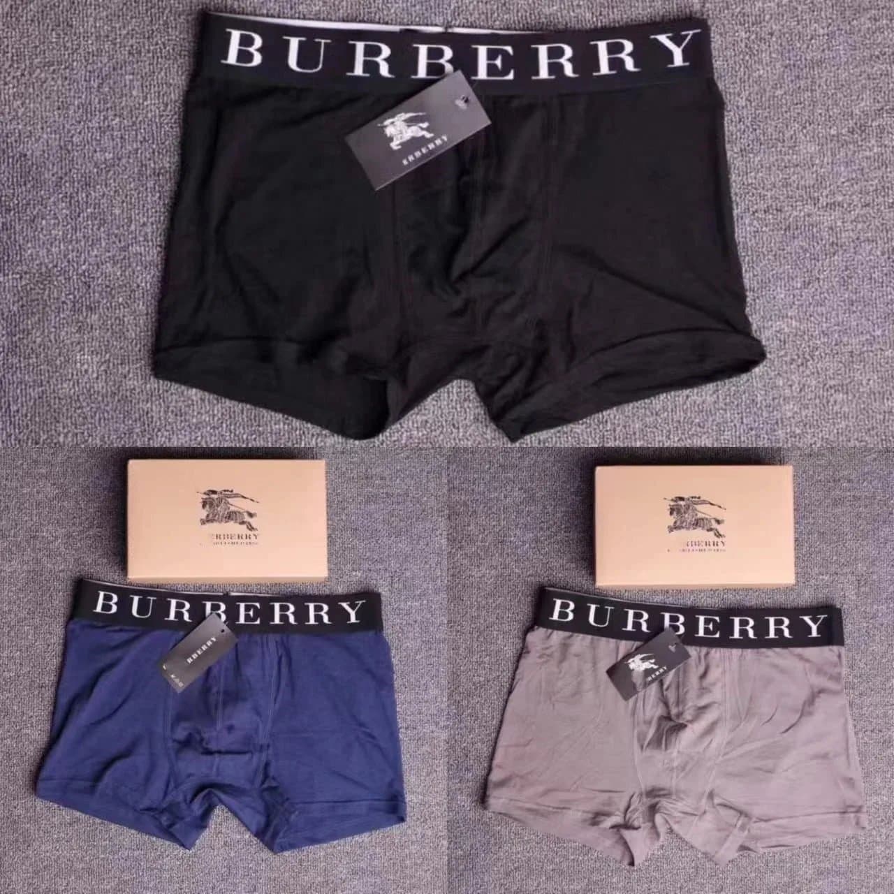 Burberry Boxer Briefs Logo Waistband
