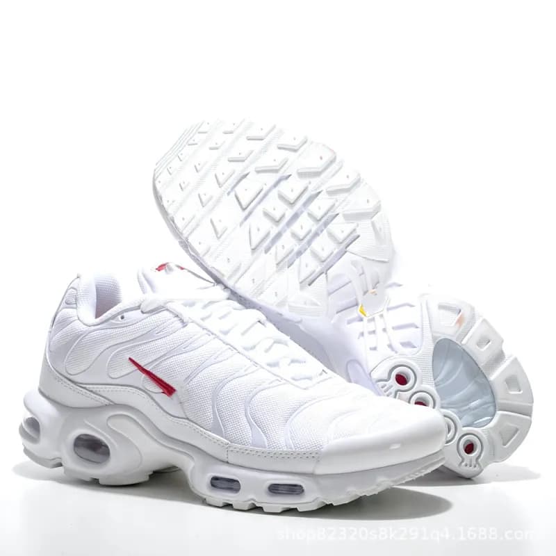 Nike Air Max Plus Metallic Silver — TN1-20