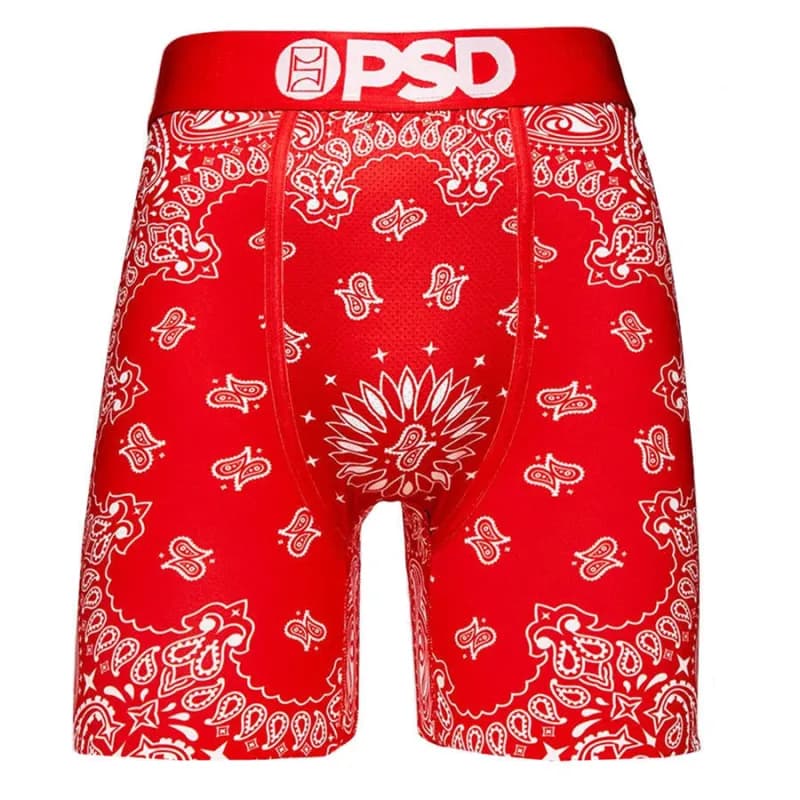 Represent Boxer Briefs Bandana Print