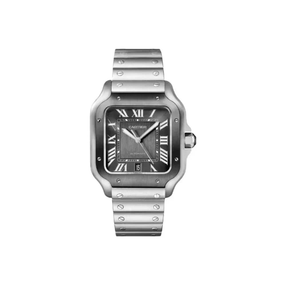 Santos de Cartier Large Steel