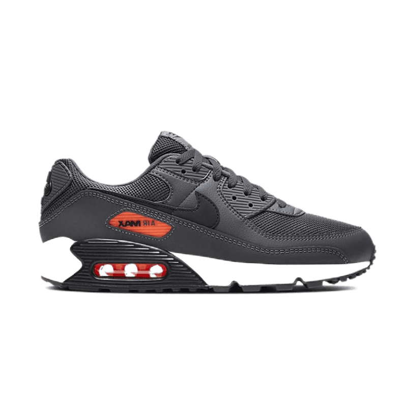 Nike Air Max 90 Light Bone — 16